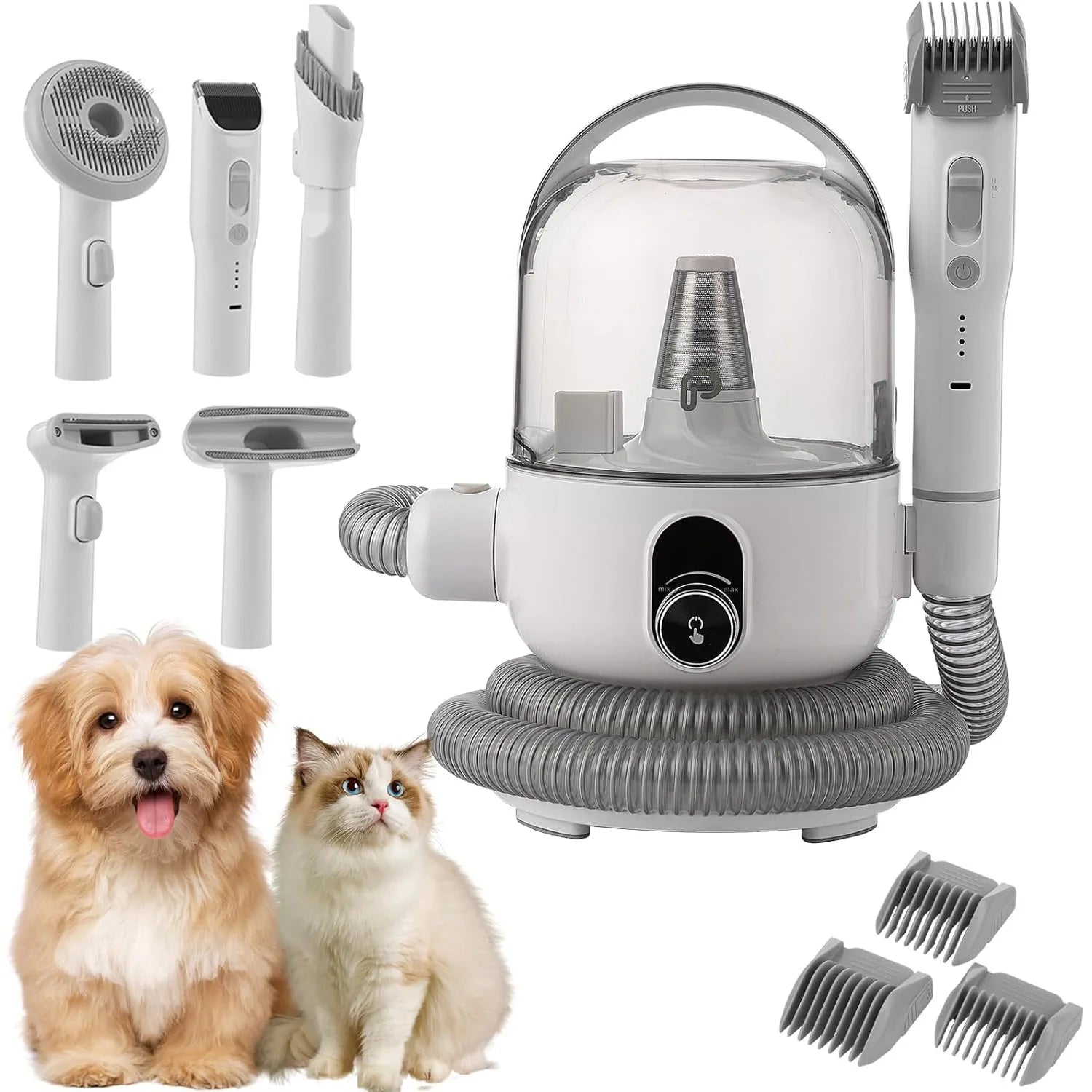 Professional Quiet Dog Grooming