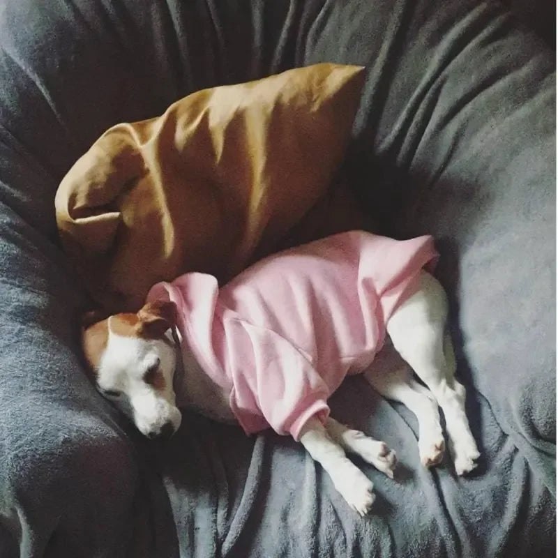 Dog Clothes Hoodies Wind Coat