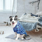 Dog Hoodie - British Style
