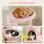 Multi-Level Cat Tree