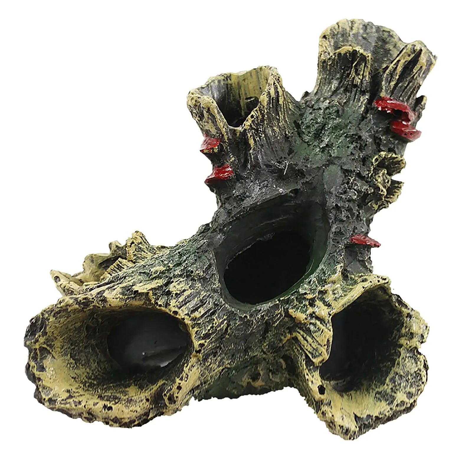 Fish Tank Escape Hole