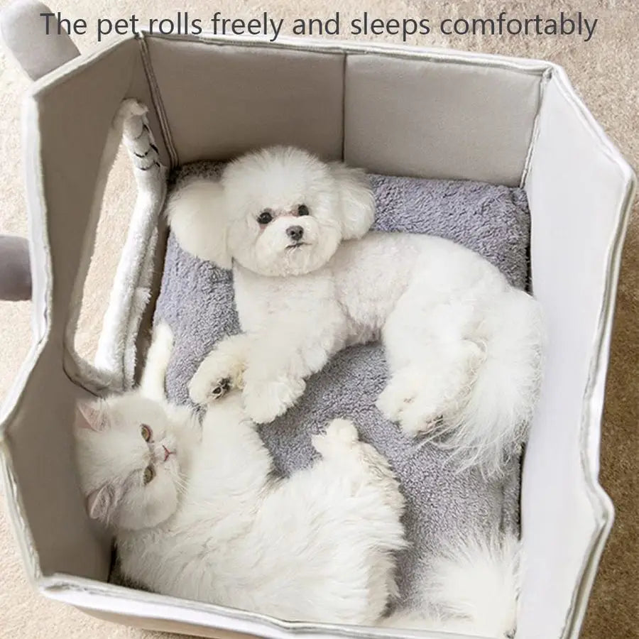 Indoor Dog/Cat House