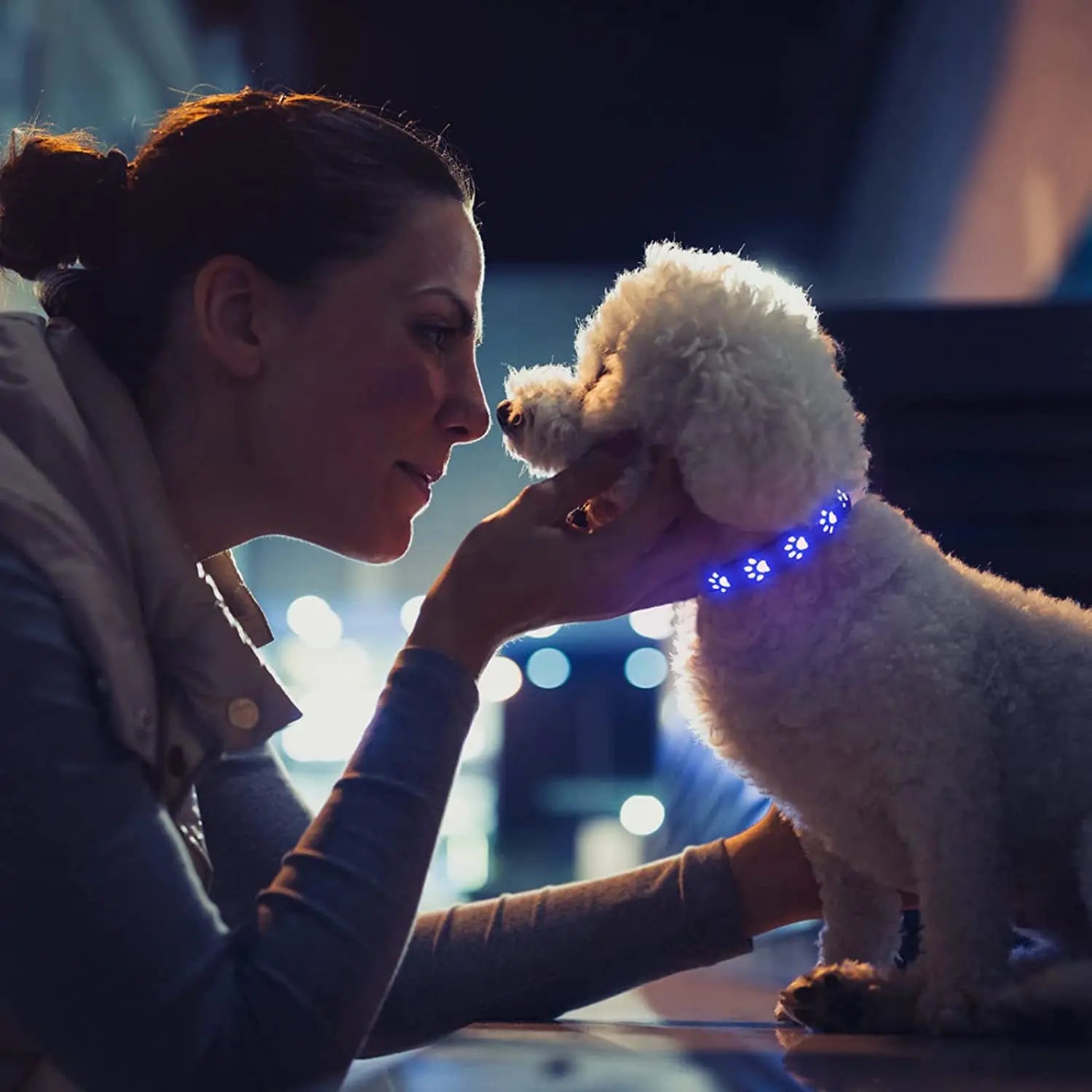 Rechargeable LED Dog Collar