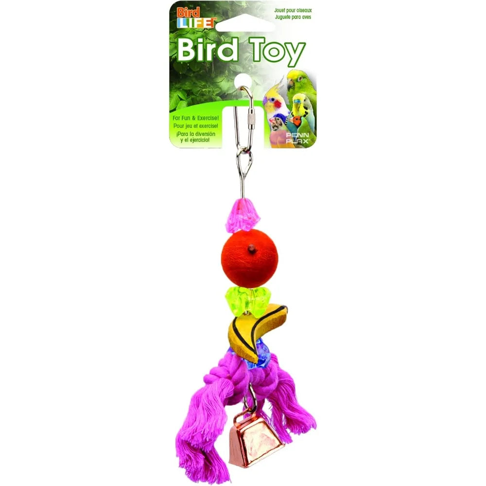 Small Bird Starter Kit
