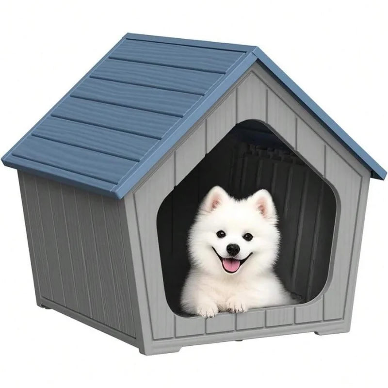 Dog House
