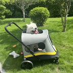 3-in-1 Stroller for Small/Medium Pets