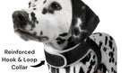 Get Realtime Pet Locations