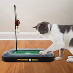 Cat Scratcher Toy with Catnip