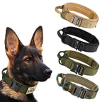 Dog Training Collar Tactical