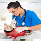 Mesh Cat Groom Bath Bag