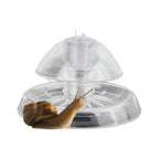 Grass Tank Snail Removal Trapping