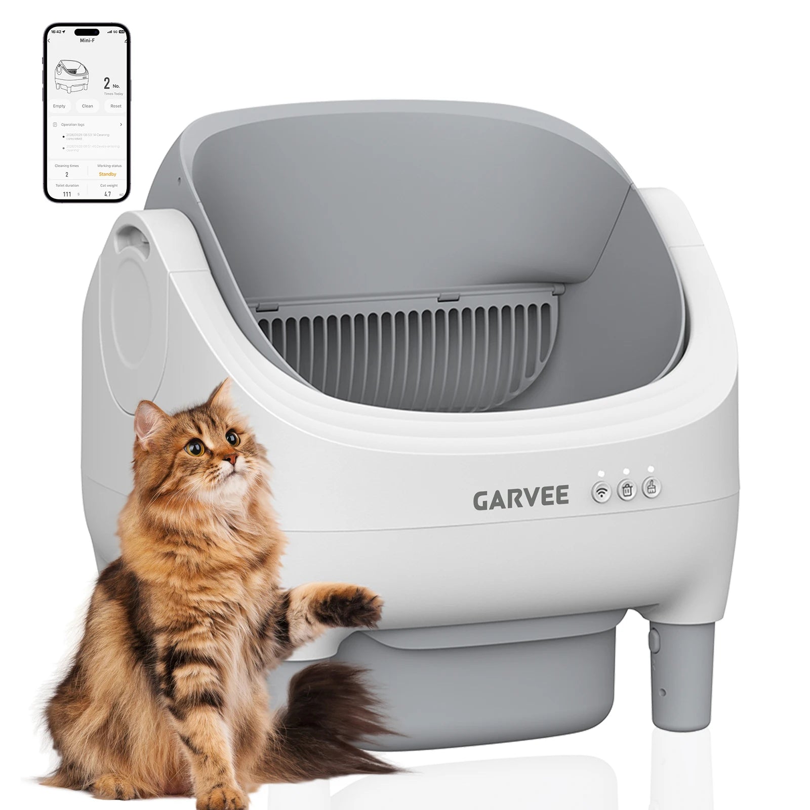 Self Cleaning Cat Litter Box