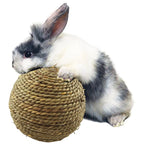 Pet Chew Toy Natural Grass Ball
