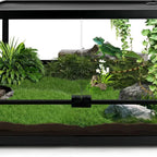 Glass Reptile Tank