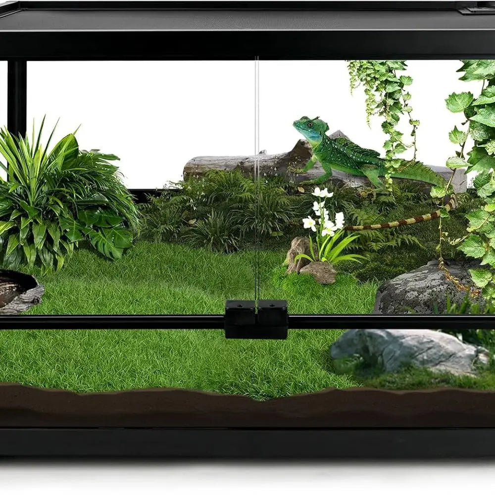 Glass Reptile Tank