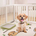 Foldable Pet Playpen