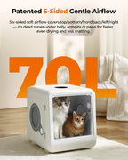 Automatic Pet Dryer for Cats/Small Dogs