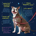 Adjustable Harness for S/M/L Dogs
