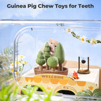 Guinea Pig/Rabbit Treats