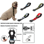 Short Dog Leash Traffic