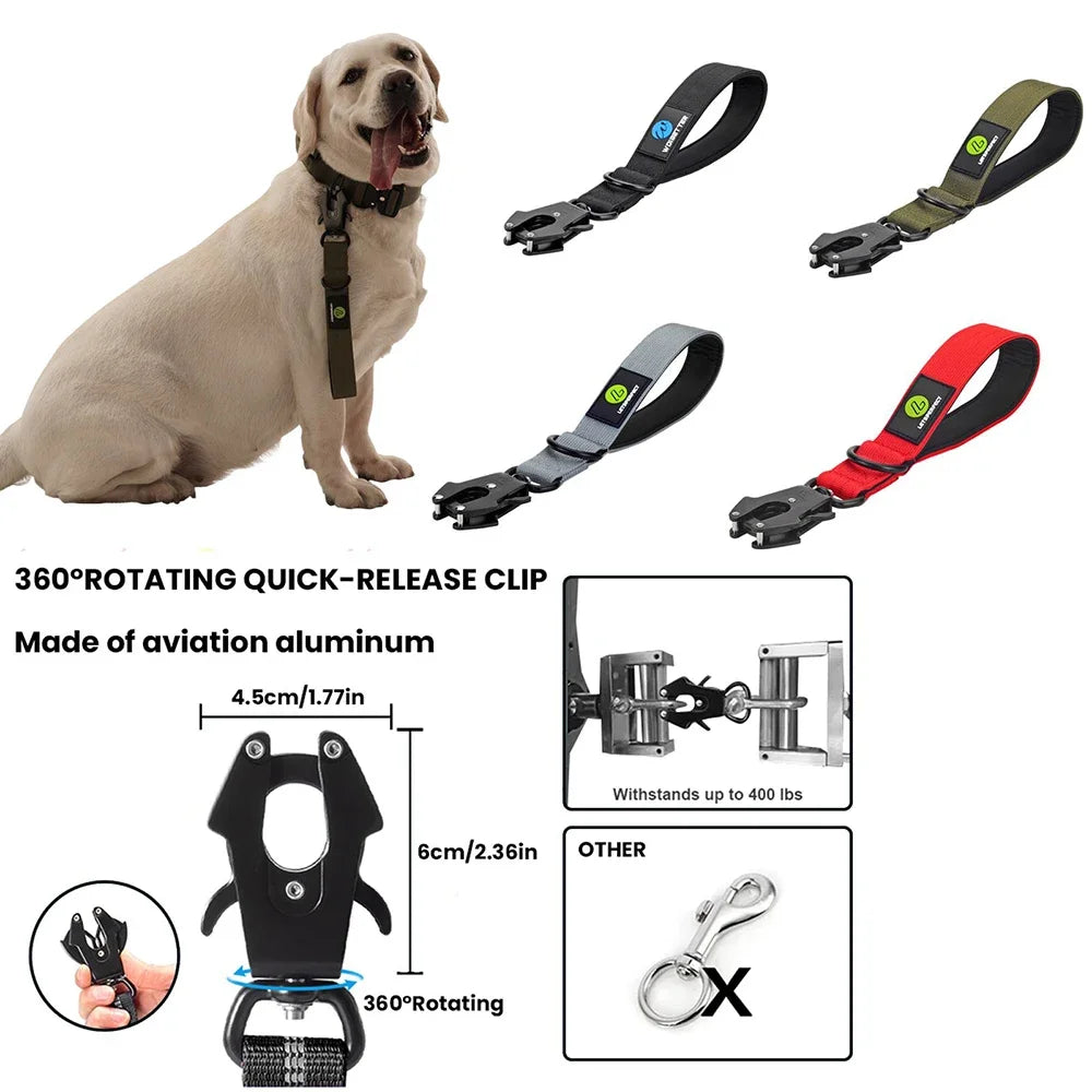 Short Dog Leash Traffic