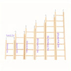 Parrot Toy Climbing Ladder