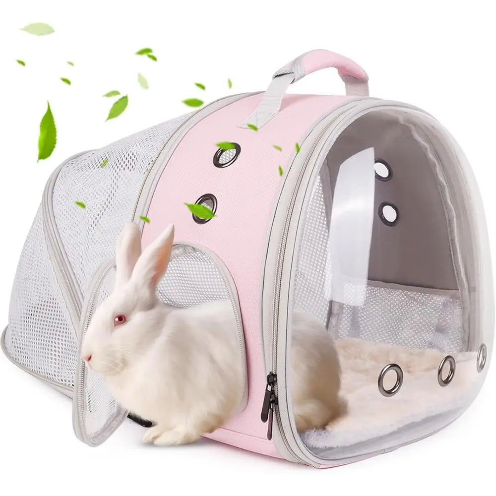 Backpack for Small Animals