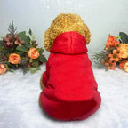 Winter Dog Clothes