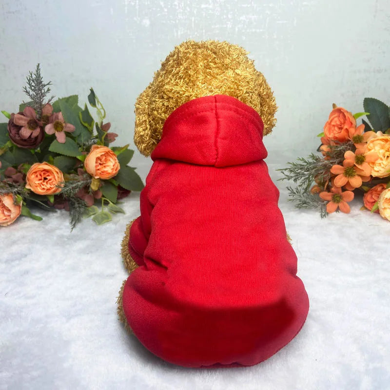 Winter Dog Clothes