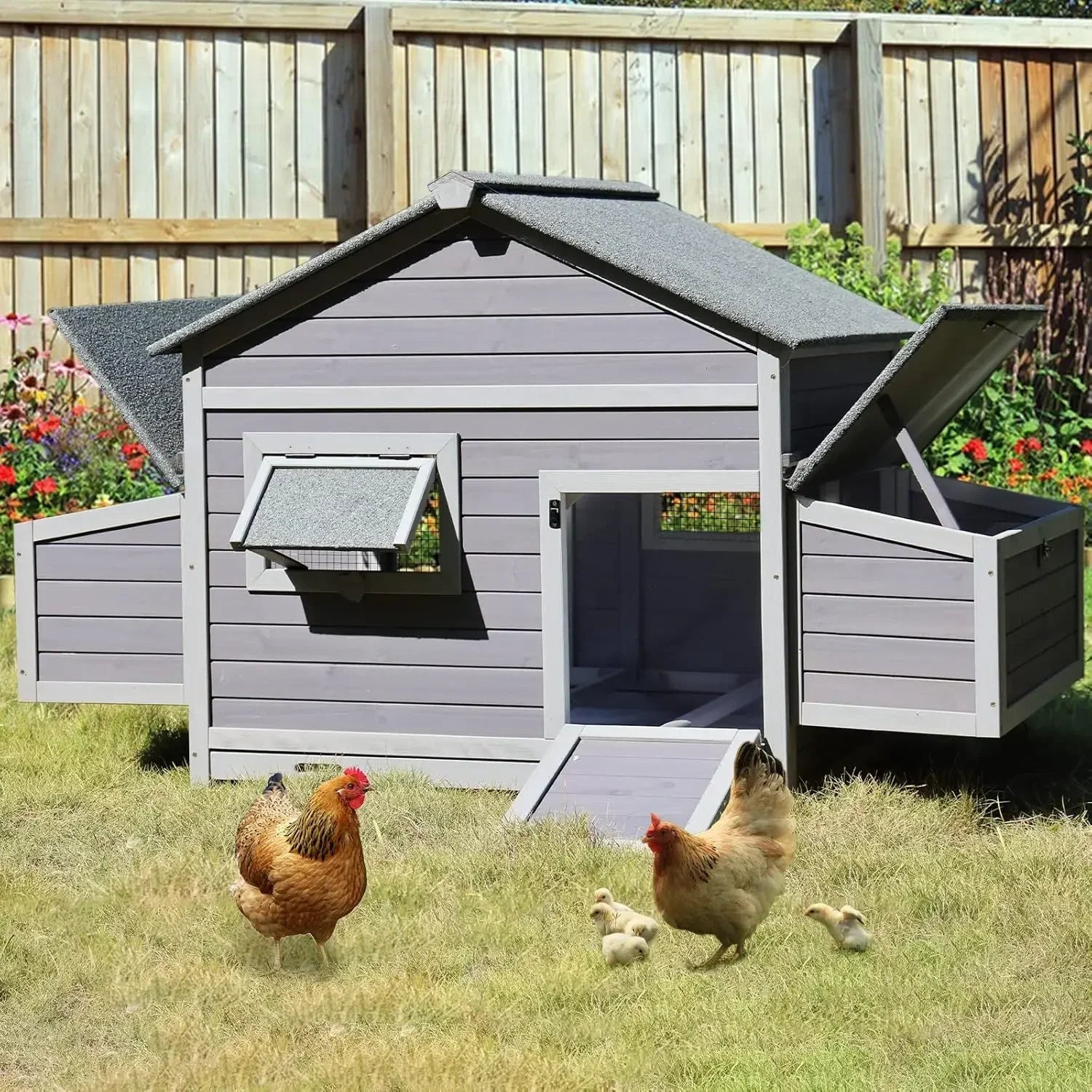XL Chicken House for 8-10 Chickens