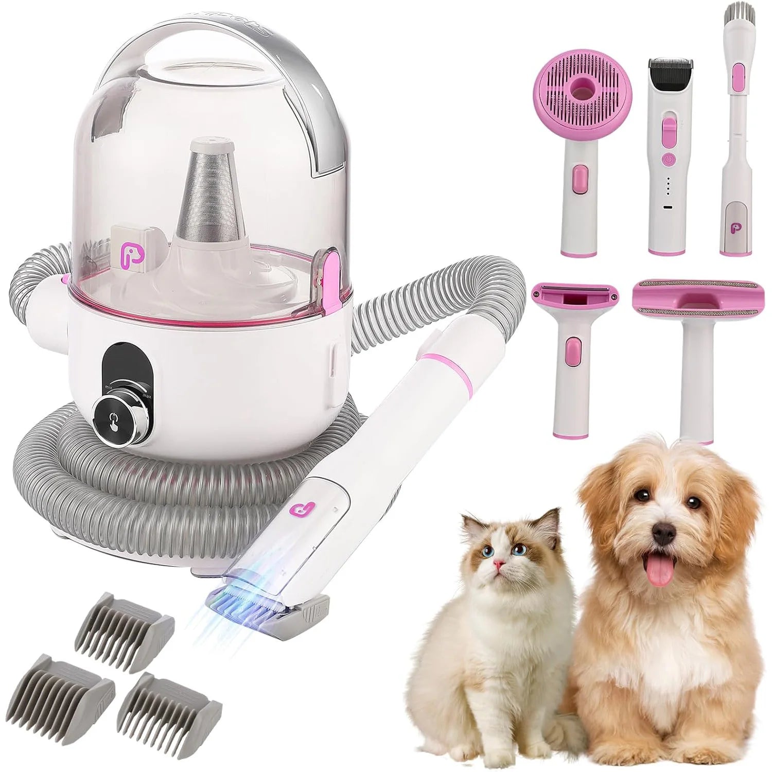 Professional Quiet Dog Grooming