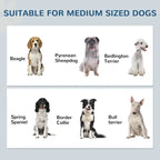 Pet Feeding Station