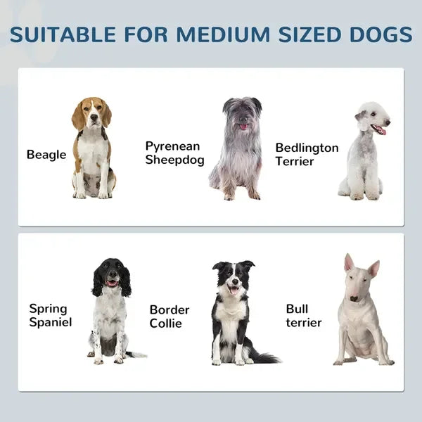 Pet Feeding Station