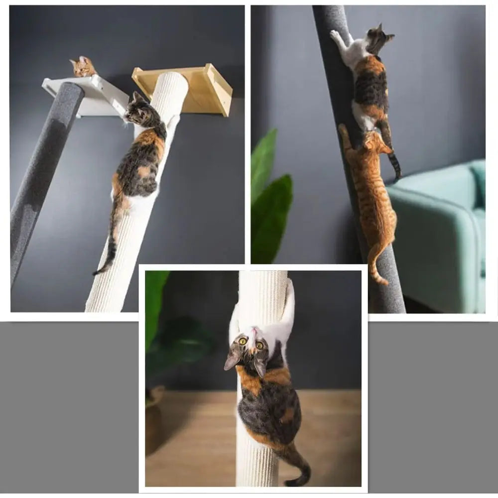 Tall Leaning Cat Tree