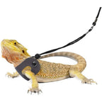 Bearded Dragon Harness/Leash