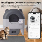 Automatic Cat Litter Box