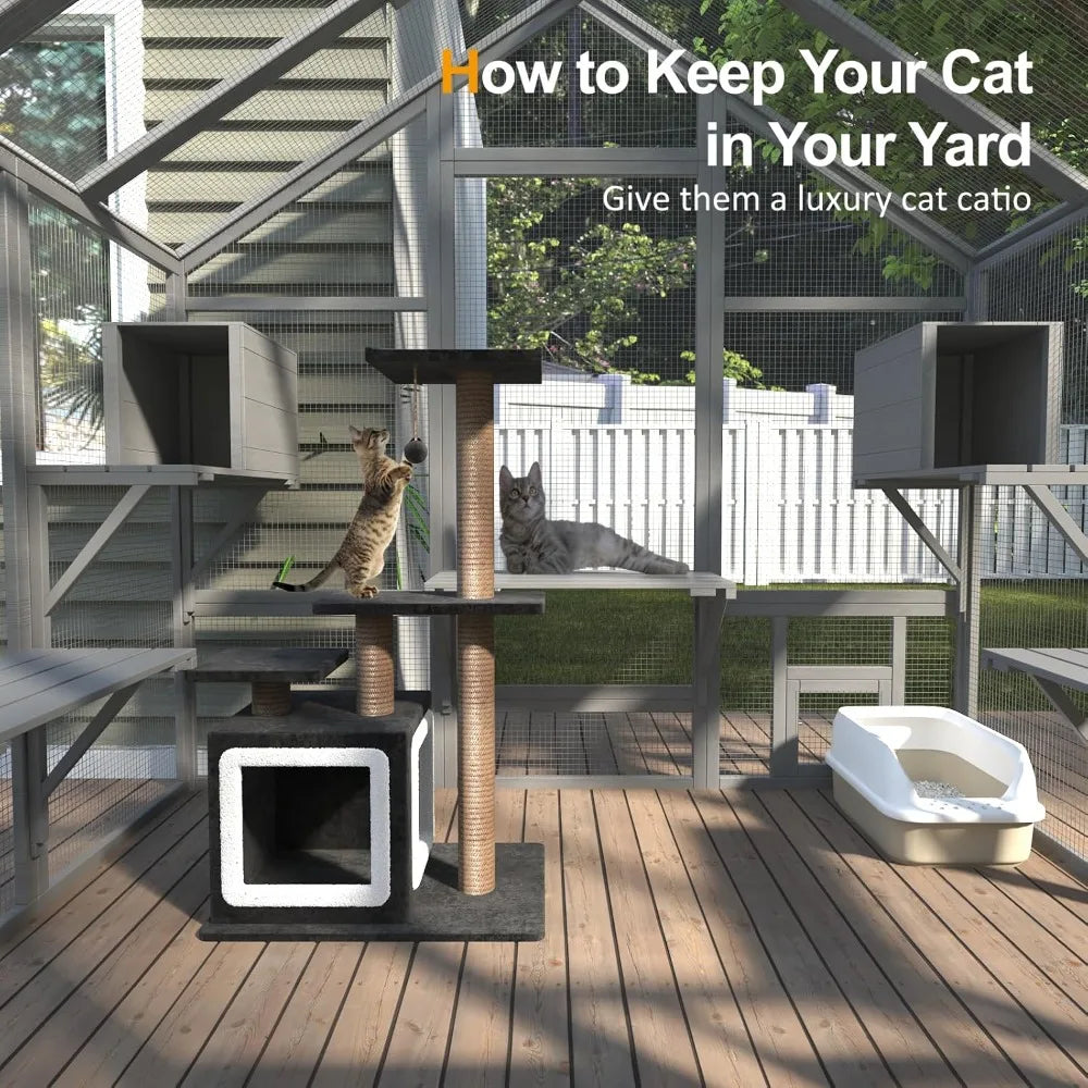 Cat Enclosure