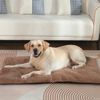 Dog/Cat Bed Heated