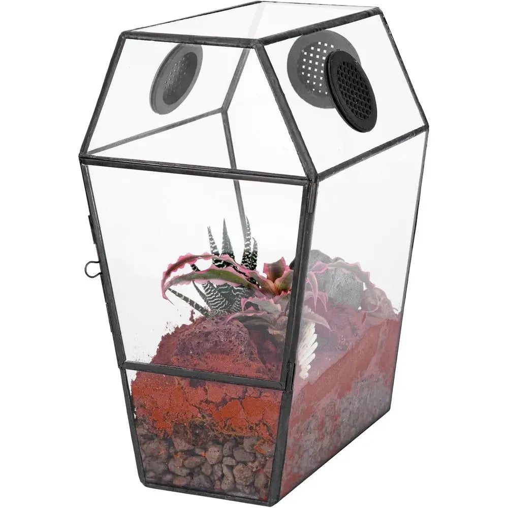 Glass Enclosure for Jumping Spiders