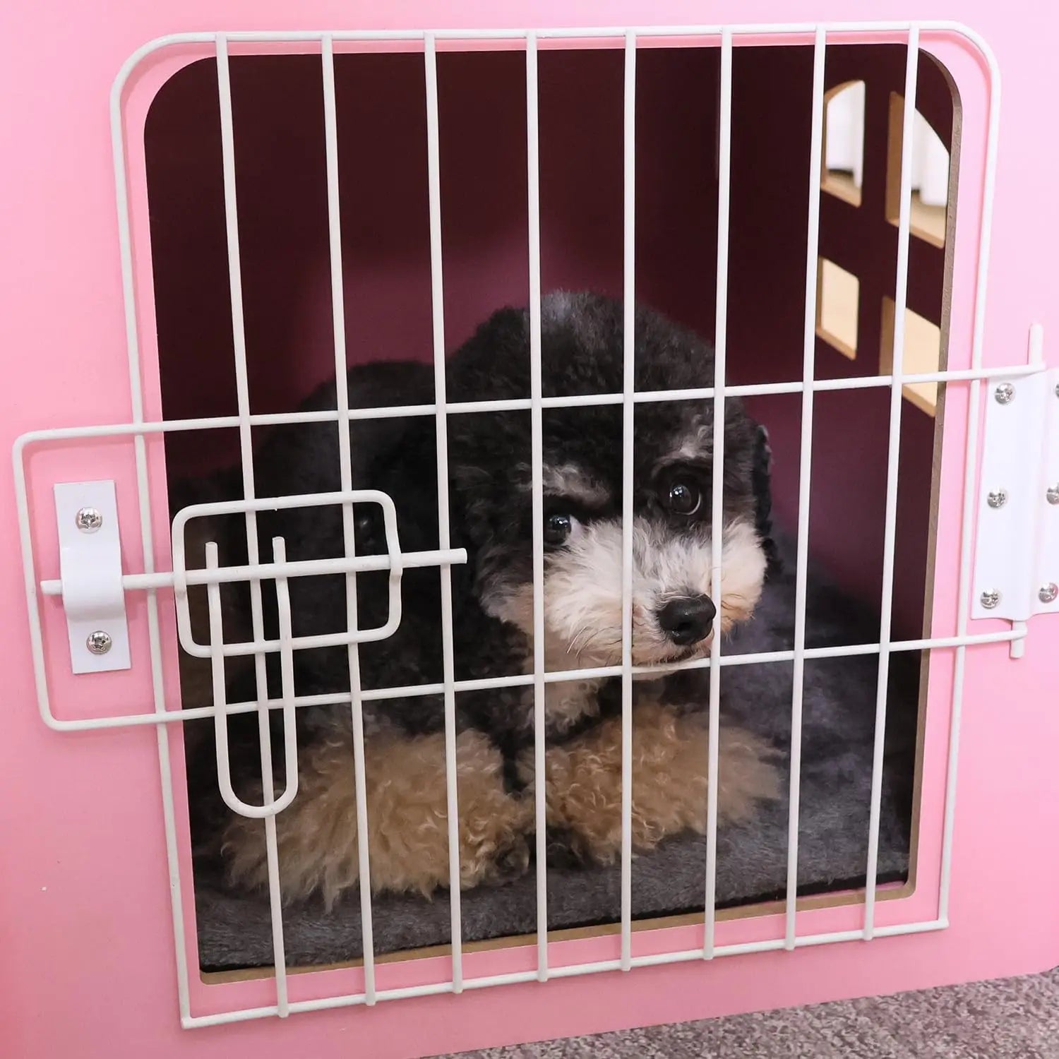 Cozy Indoor Pet House