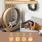 Cat Exercise Wheel, 46''