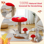 Small Cat Scratching Posts