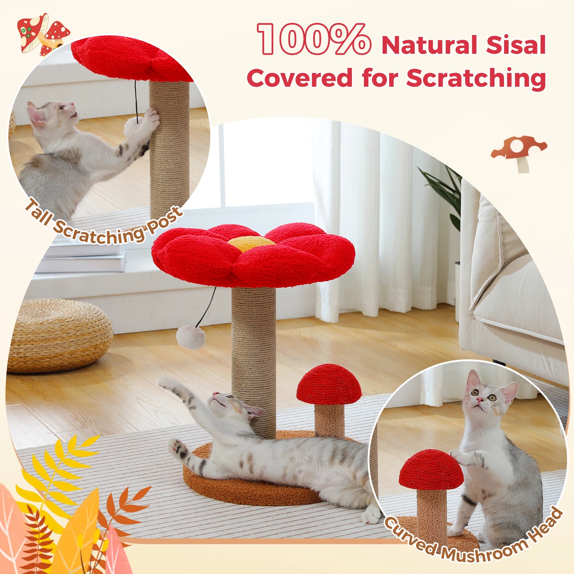 Small Cat Scratching Posts