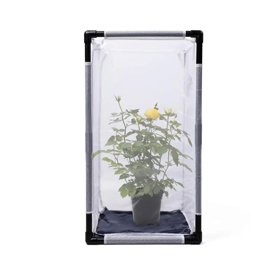 Monarch Butterfly Habitat Cage