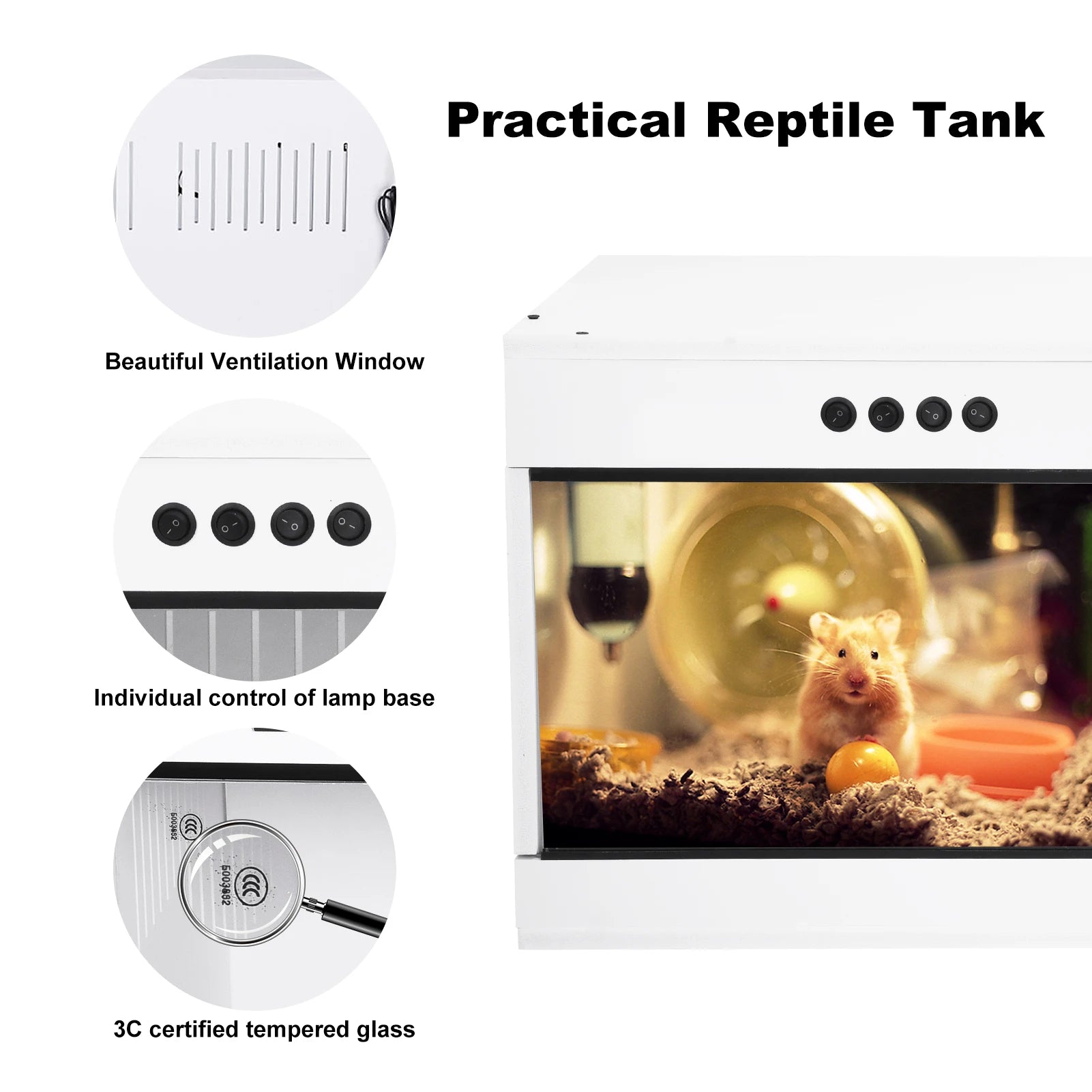 Reptile Enclosure
