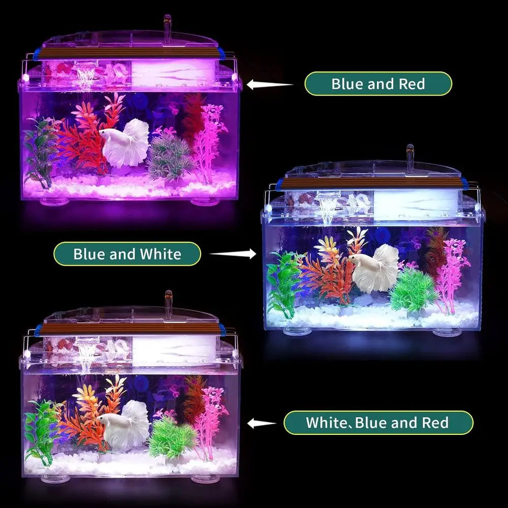 Betta Fish Tank Kit, 2.5 Gal.