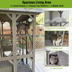 Cat Enclosure