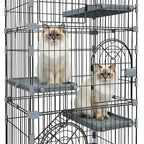 Cat Enclosure