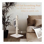 Cat Scratchers