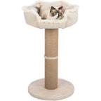 Cat Scratching Post